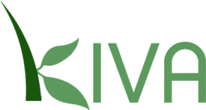 Kiva Logo